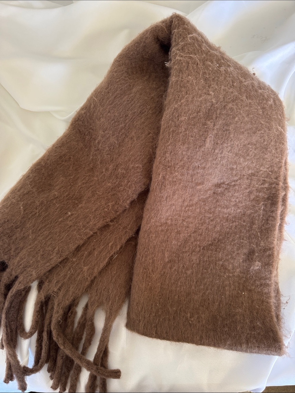 Cozy Brown Fringe Scarf - Women's Accessory
